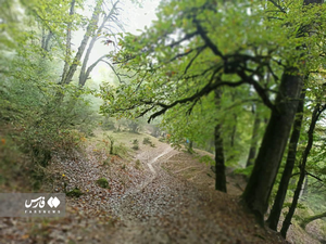 نقش و نگار پاییزی و دلبرانه جاده خلخال پونل