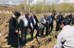 کاشت نهال به یاد شهدای میناب در اردوگاه دانش آموزی امام خمینی ره خلخال