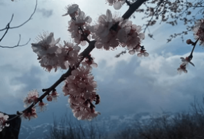 زیبایی های شهر کلور
